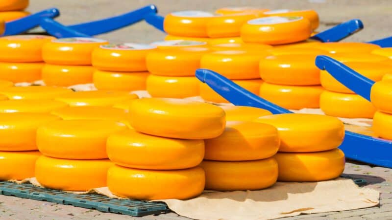 De Kaasmarkt Alkmaar: Geschiedenis, Traditie en Beleving